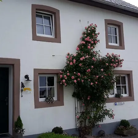 Tatil Evi Eifelferienhaus An Der Kapelle - Kostenlose Sauna, Ofen *